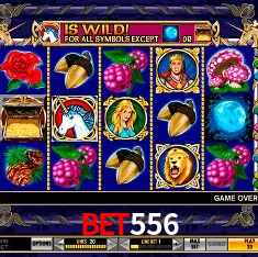 Exclusive Offers Bet556